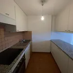 Rivellino App 1 Apartment Locarno
